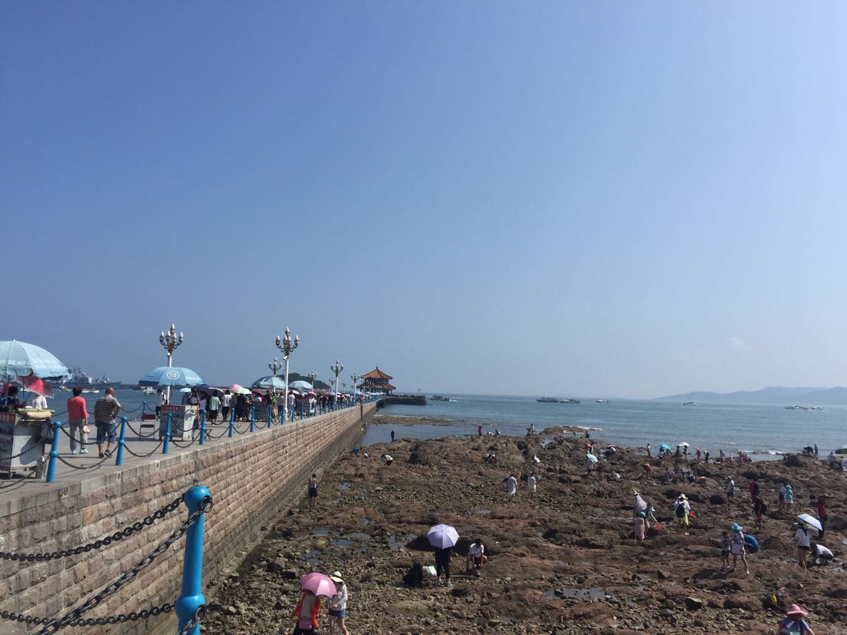 青岛最早的军事专用人工码头建筑,现在是青岛的重要标志性建筑物和著名风景游览点。栈桥全长440米,宽8米,钢混结构。栈桥就在青岛火车站附近,出站了往刮海风的方向走,就能到哈~!楼上的驴友也说了路线。海边有很多喂海鸥的人,一般都有人在卖小包装的馒头、油条啦,这是海鸥的最爱,貌似一两块一袋吧,不算多,也可以自己带,这样喂起来尽兴些!当然了,必须得下海滩走走,感受下那里软绵绵的沙滩,细细的海沙,有的足以冒过鞋底哦!岸边都有很多海产工艺品,几十到上百的都有,要学会砍价哦,一般买的多的话,店家都会便宜些。记得我在青岛