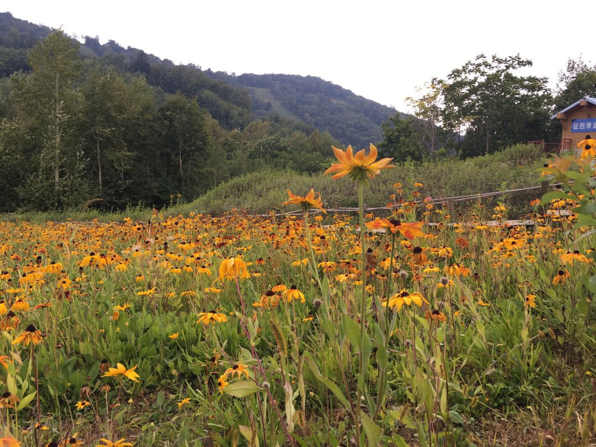 2019高山花园游玩攻略,在万达度假区内,.:. 【去哪儿攻略】