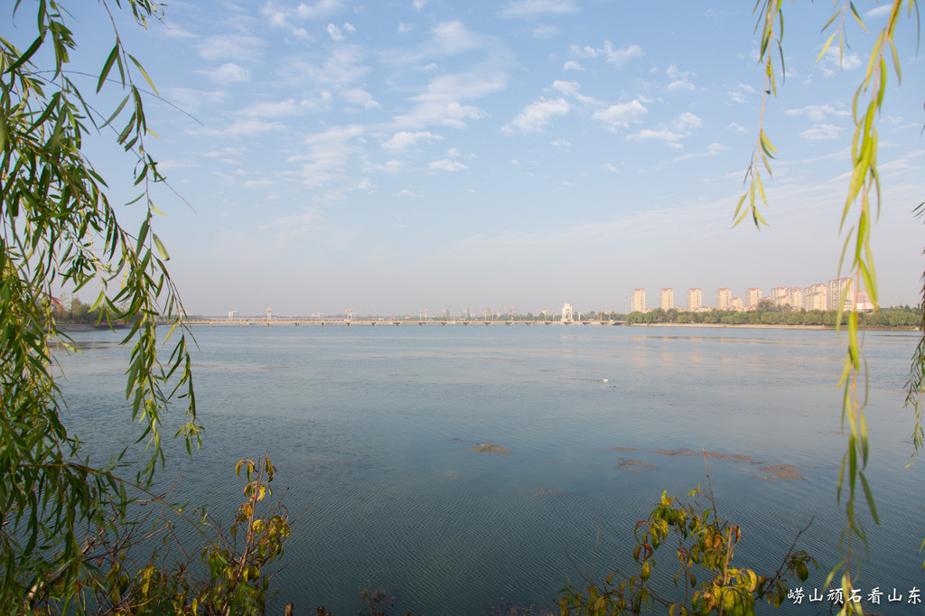 图173 莒县-沭河湿地公园