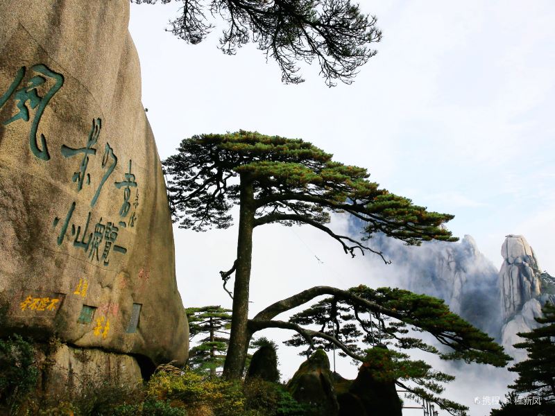 黄山风景区迎客松攻略-迎客松门票价格多少钱-团购票价预定优惠-景点