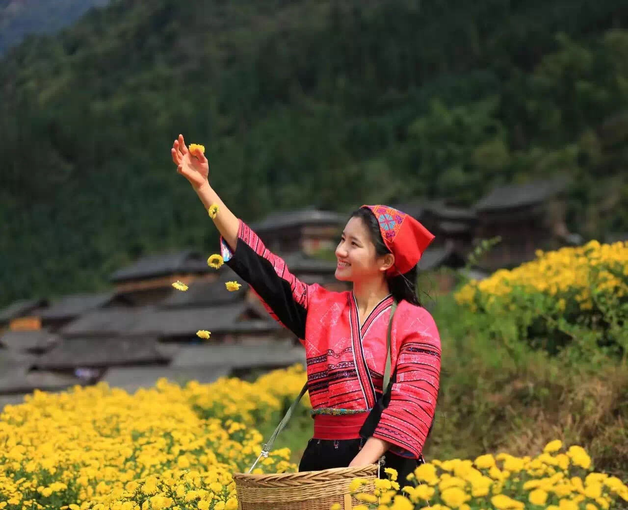 白面瑶寨