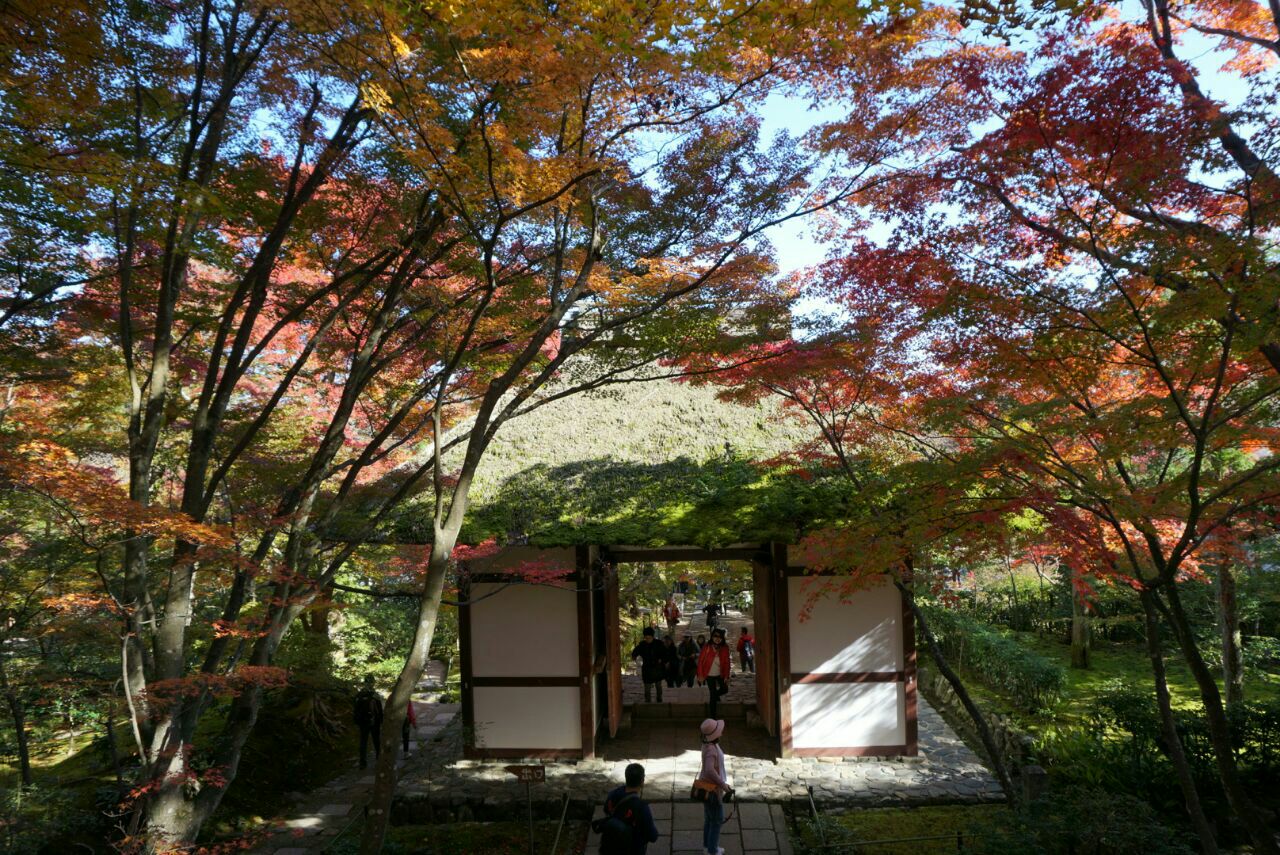 常寂光寺