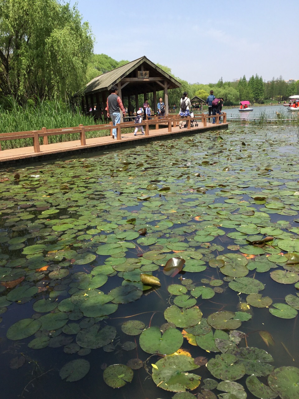 上海闵行体育公园好玩吗,上海闵行体育公园景点怎么样