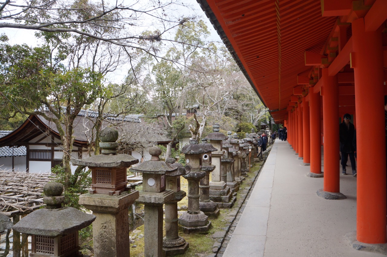 2019春日大社_旅游攻略_门票_地址_游记点评,奈良旅游