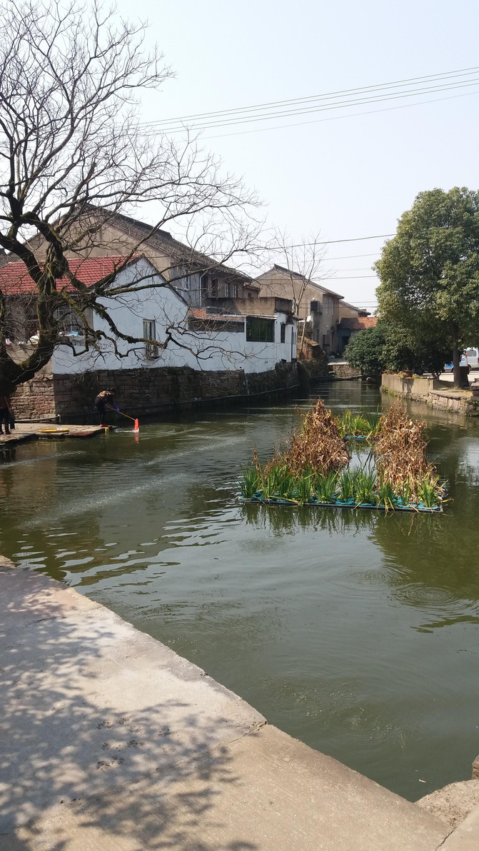 护村河,梁桥,石窗,荷花池,浙江大学中国古代史研究基地——宁波走马塘