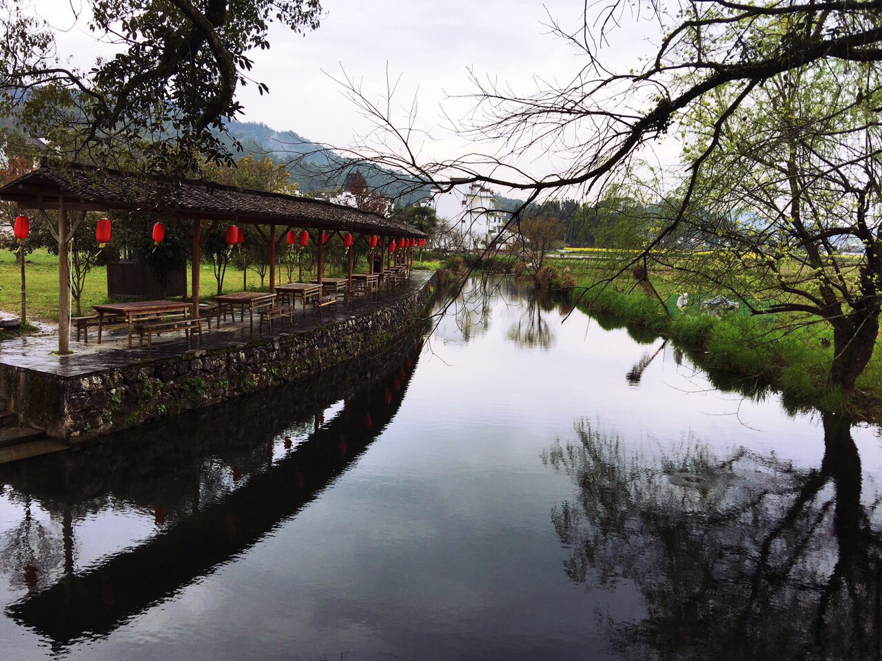 2019严田古樟民俗园_旅游攻略_门票_地址_游记点评,婺源旅游景点推荐