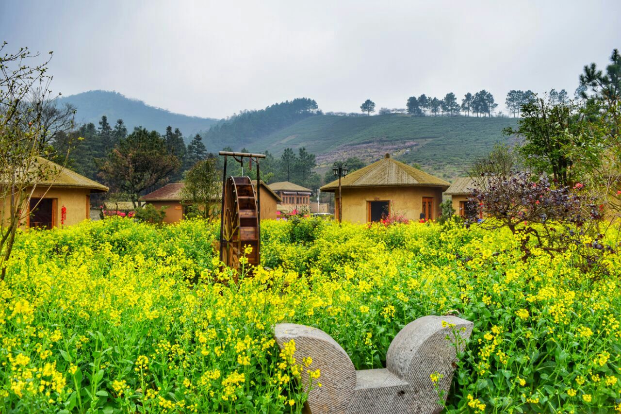 2019城山沟桃源山庄_旅游攻略_门票_地址_游记点评