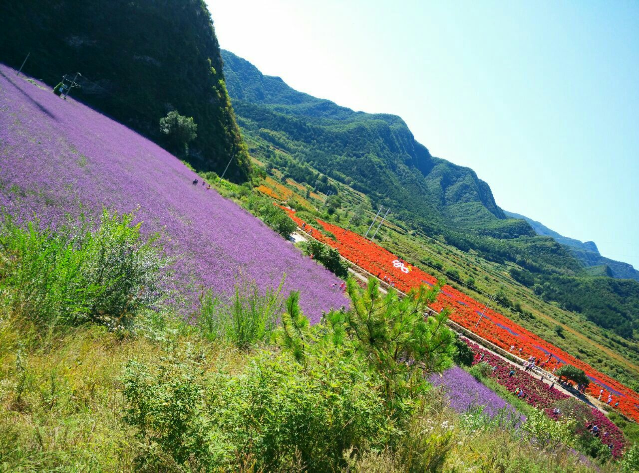 四季花海旅游景点攻略图