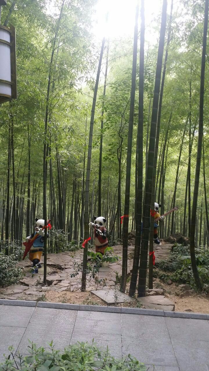 天目湖南山竹海好玩吗,天目湖南山竹海景点怎么样