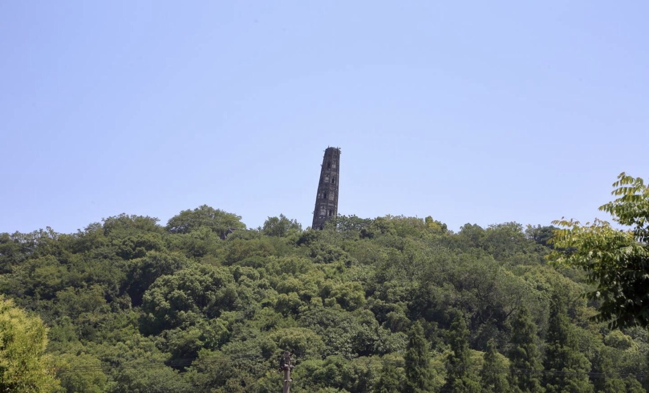 2019天马山游玩攻略,上海第一高峰天马山,海拔98.