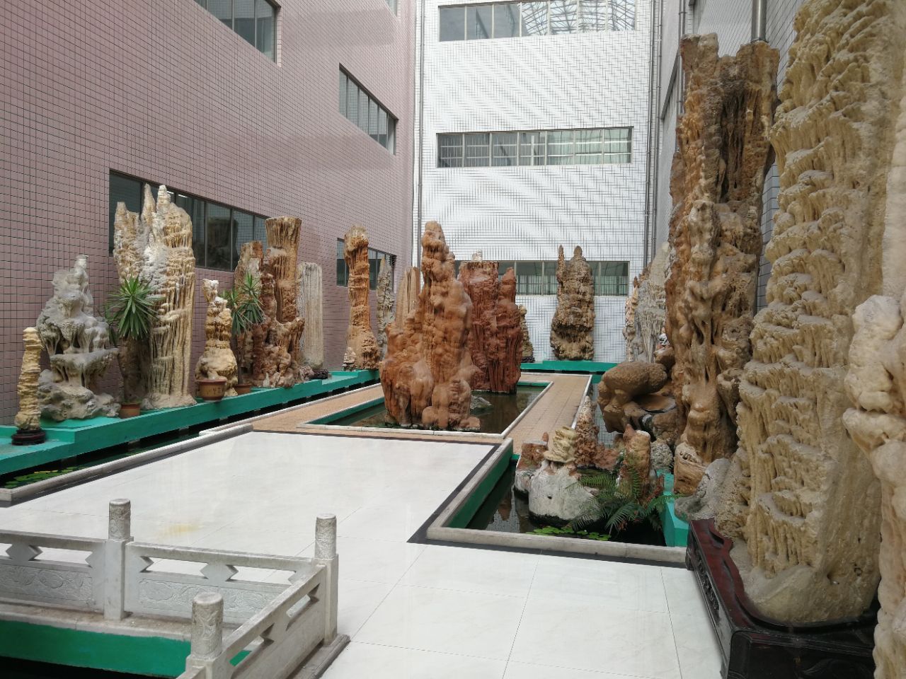 山东省天宇自然博物馆