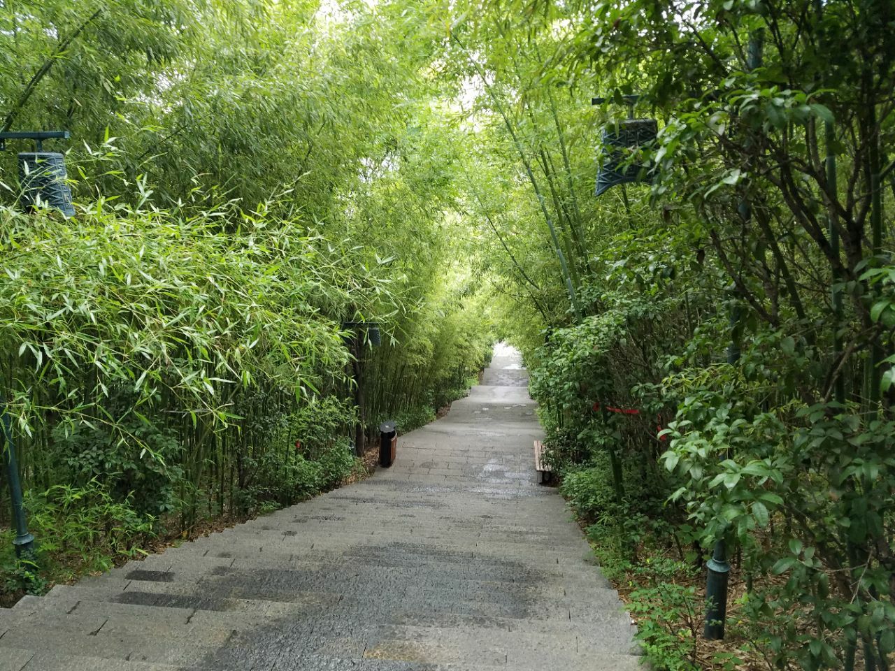 【携程攻略】徐州骆驼山竹林寺景点,徐州竹林寺和徐州