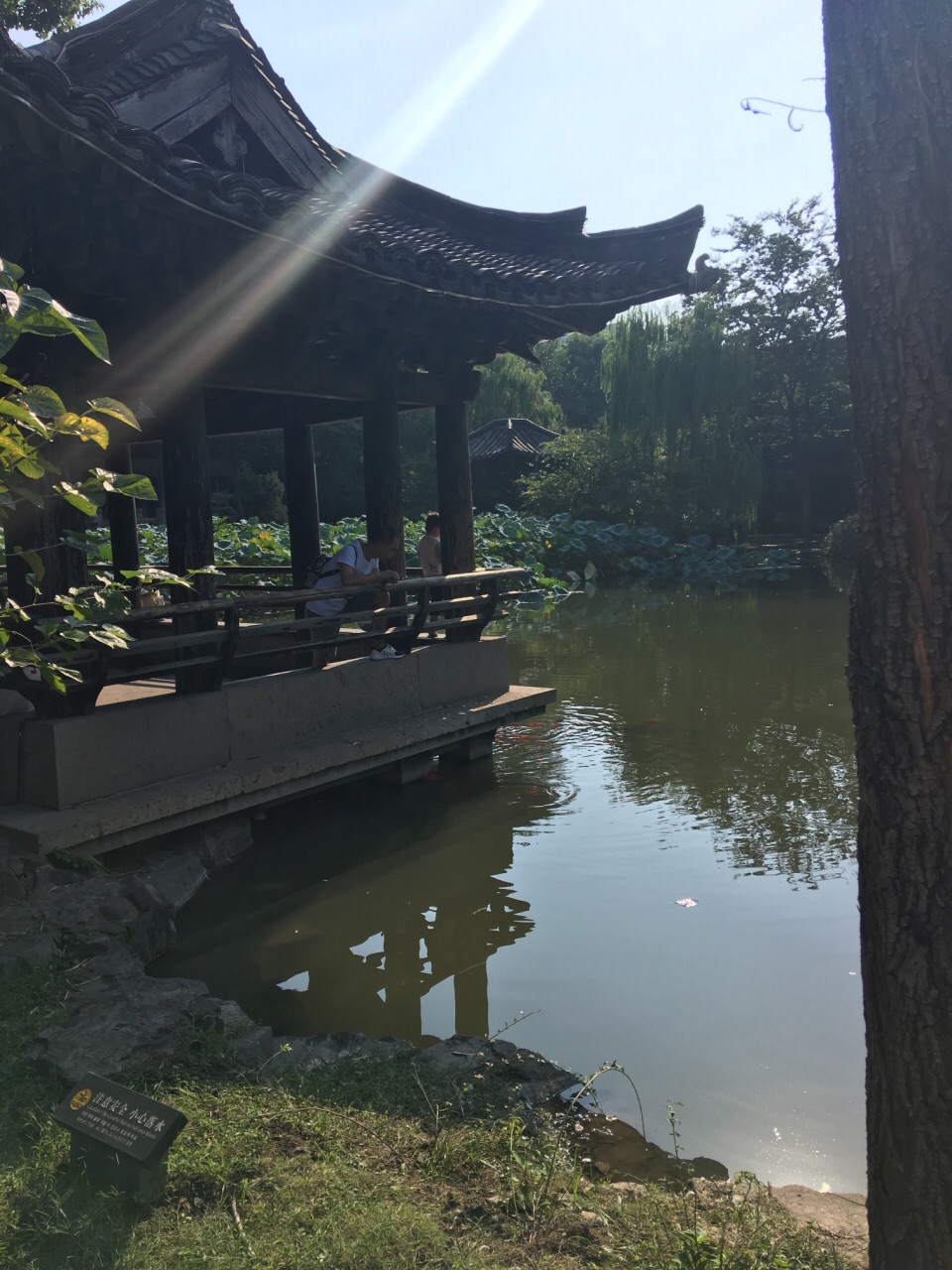沈园