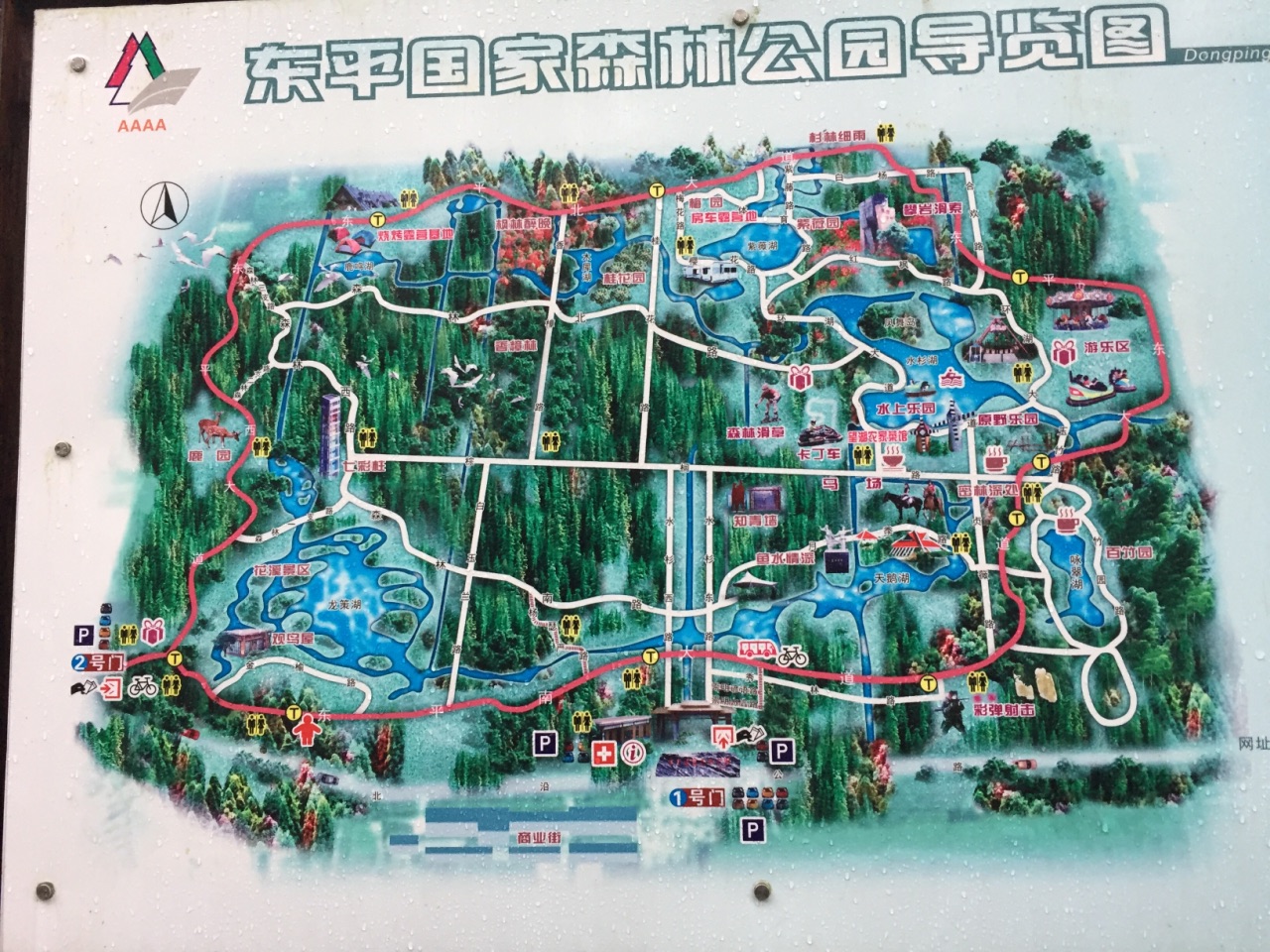 东平国家森林公园