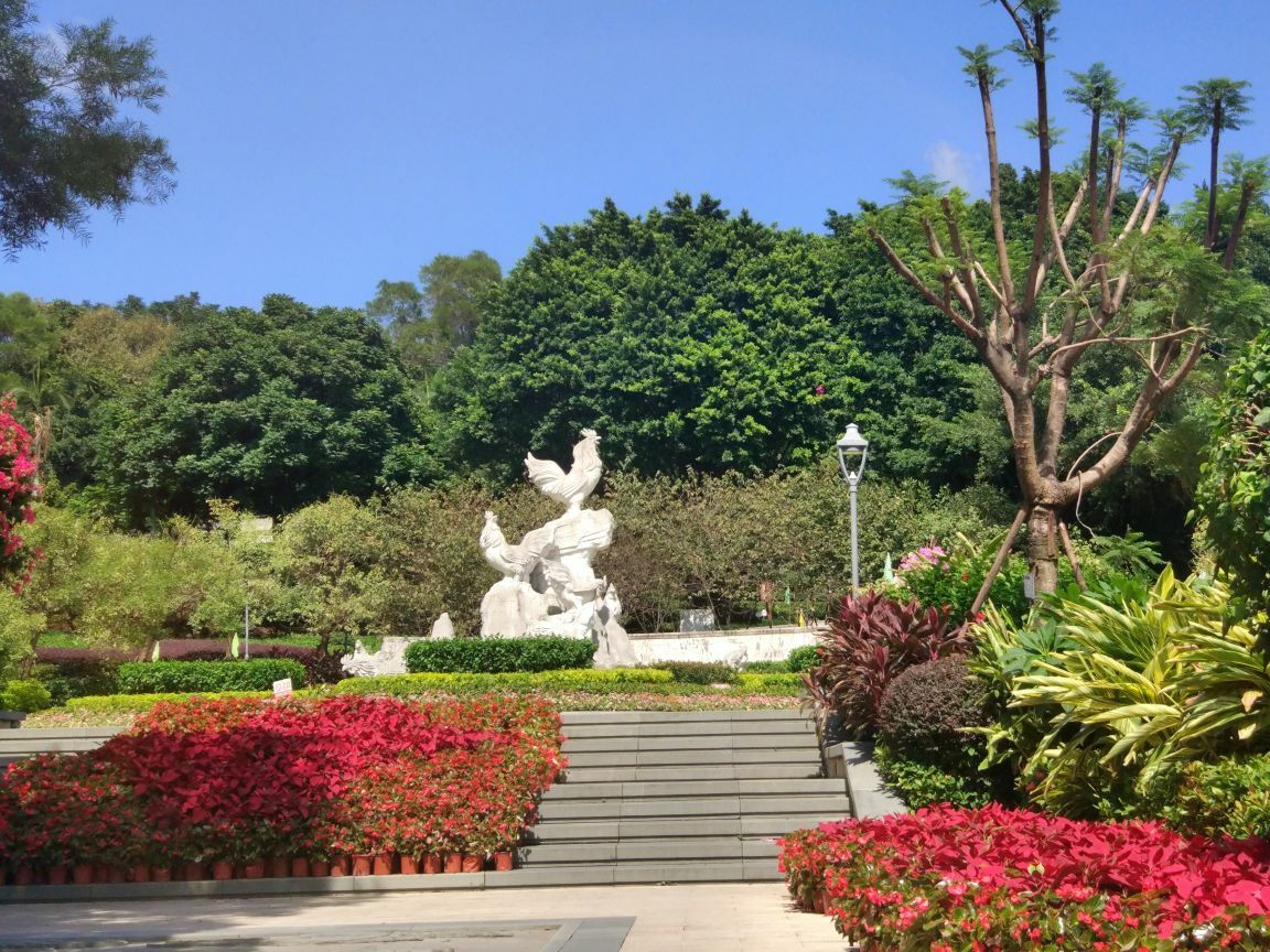 福州金鸡山公园好玩吗,福州金鸡山公园景点怎么样