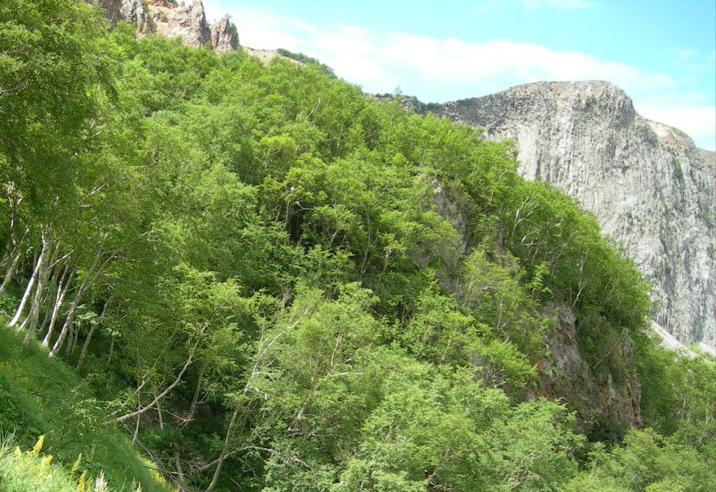 2019长白山南坡景区_旅游攻略_门票_地址_游记点评,池