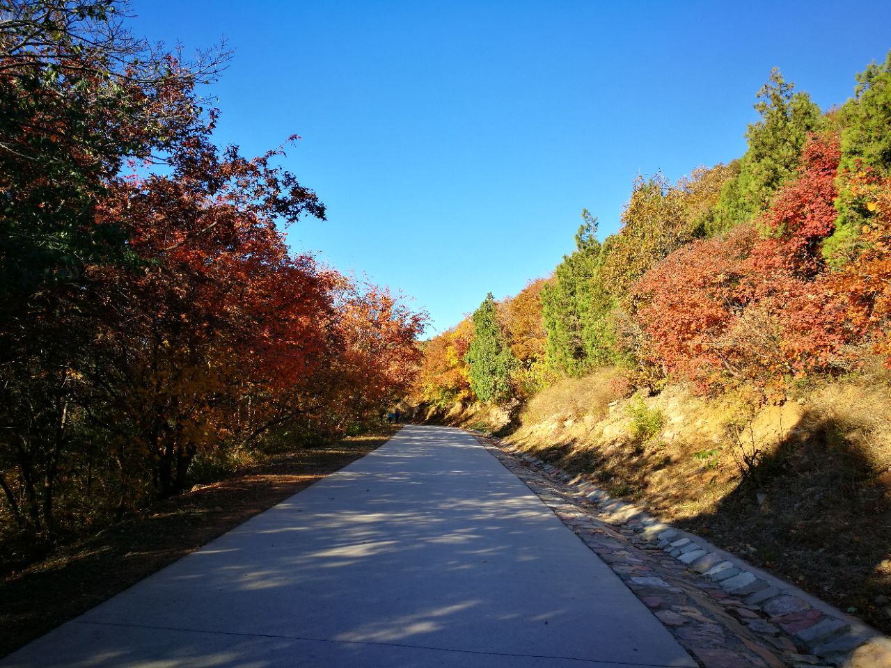 北京西山国家森林公园