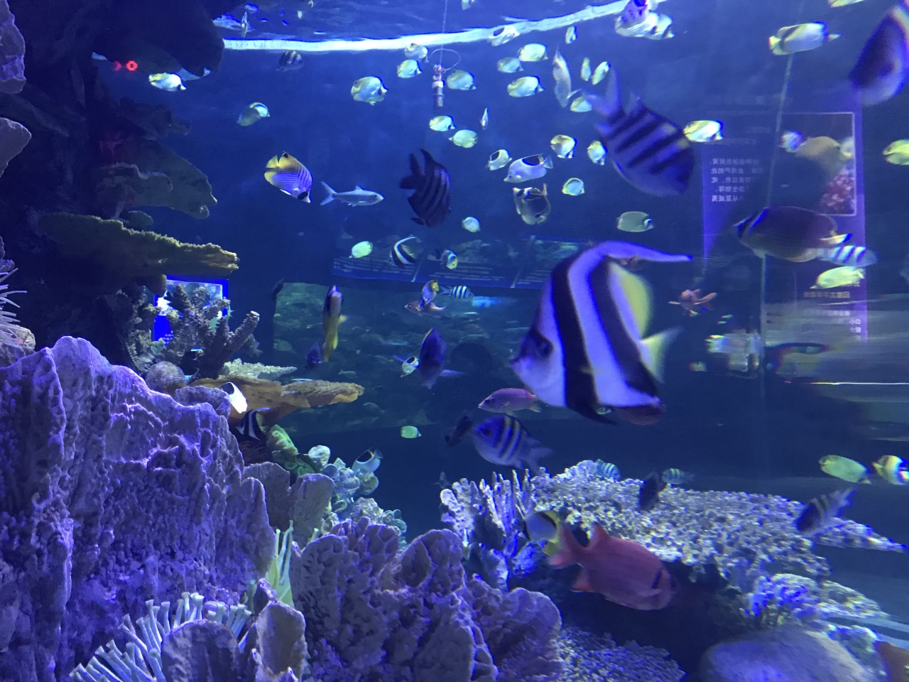 福州左海海底世界好玩吗,福州左海海底世界景点怎么样