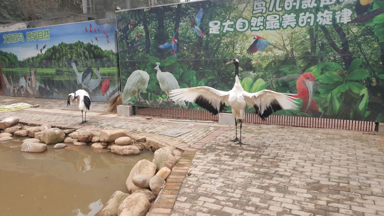 长沙生态动物园