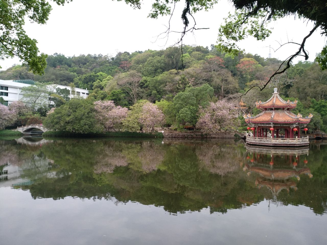 潮州西湖公园好玩吗,潮州西湖公园景点怎么样_点评