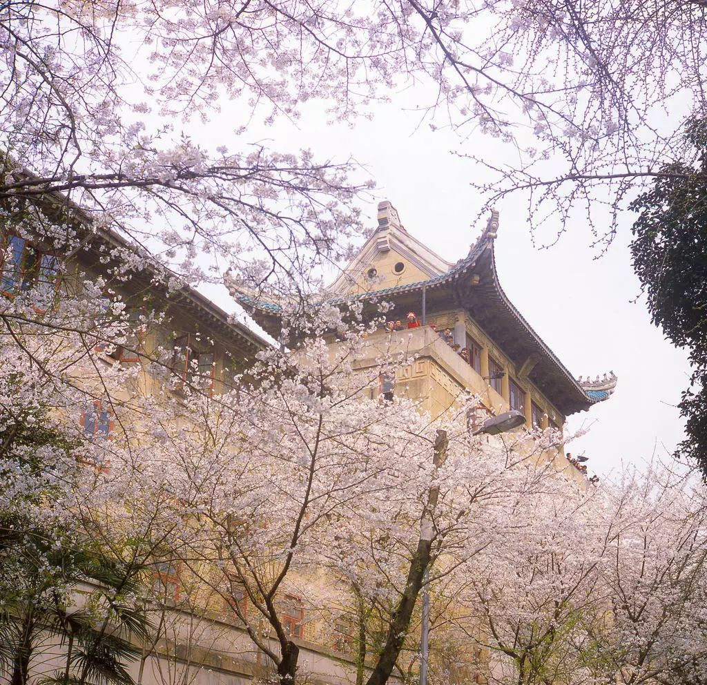 去大学里旅行,看不一样的风景!国内最美的十所大学,你