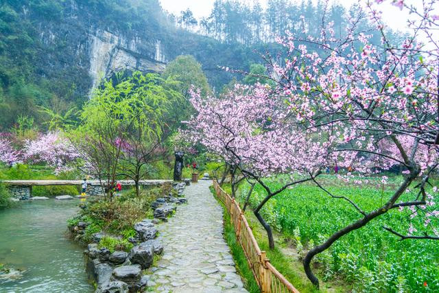 一个旅游摄影师对重庆桃花源给了最直接的评价,很多人