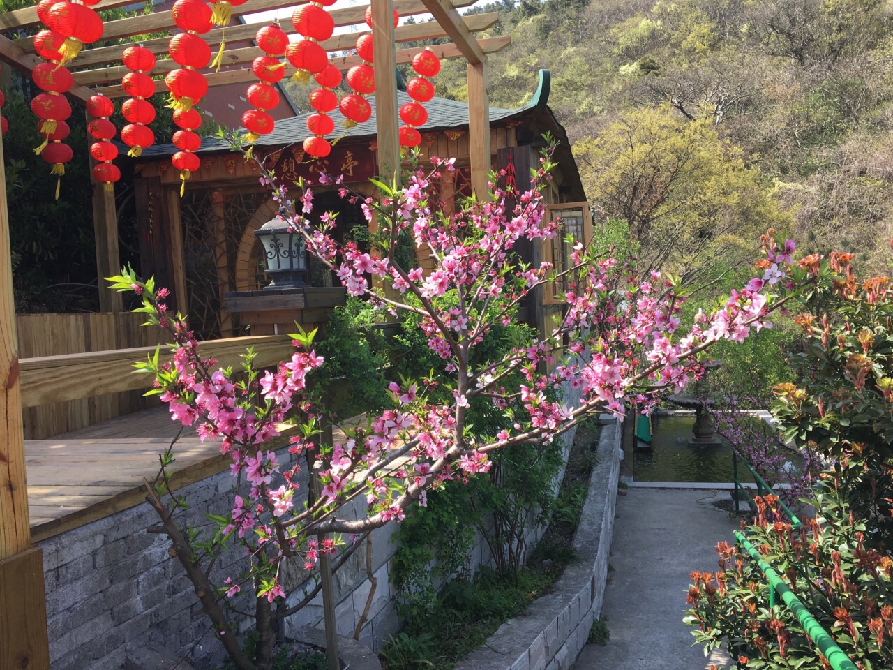 舟山传奇庄园攻略,舟山传奇庄园门票/游玩攻略/地址
