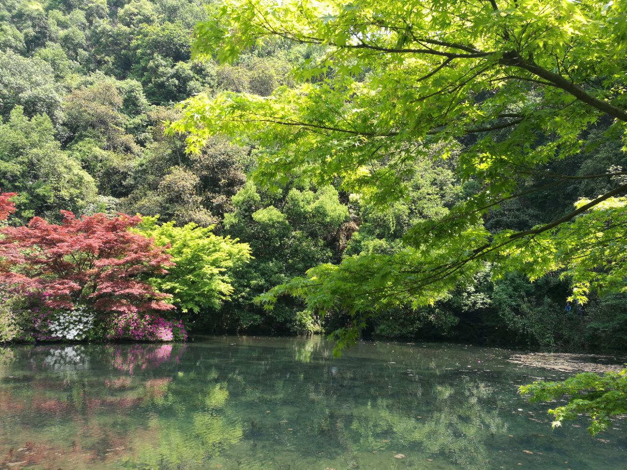 九溪烟树