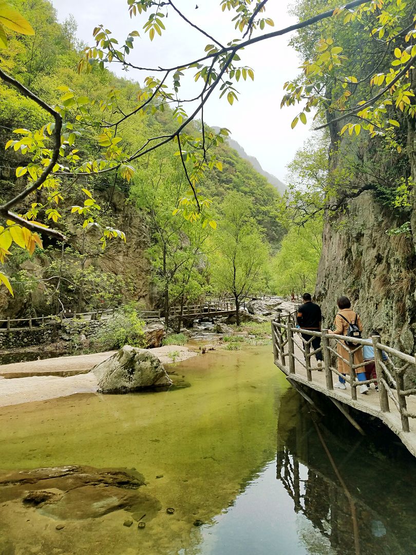 【携程攻略】栾川养子沟景点,景区位于高速下口不太远的地方,风景秀丽