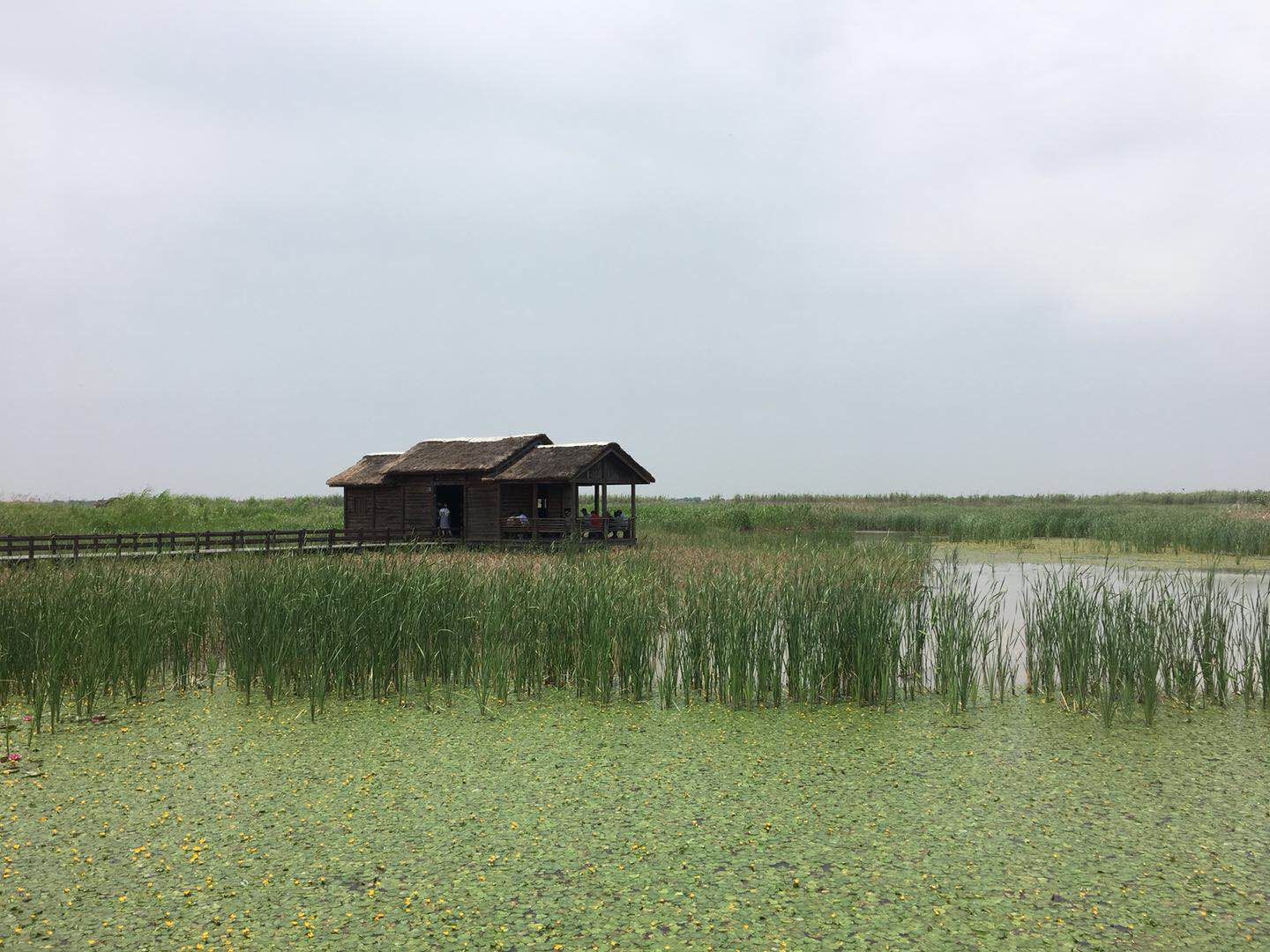 慈溪杭州湾国家湿地公园好玩吗,慈溪杭州湾国家湿地样