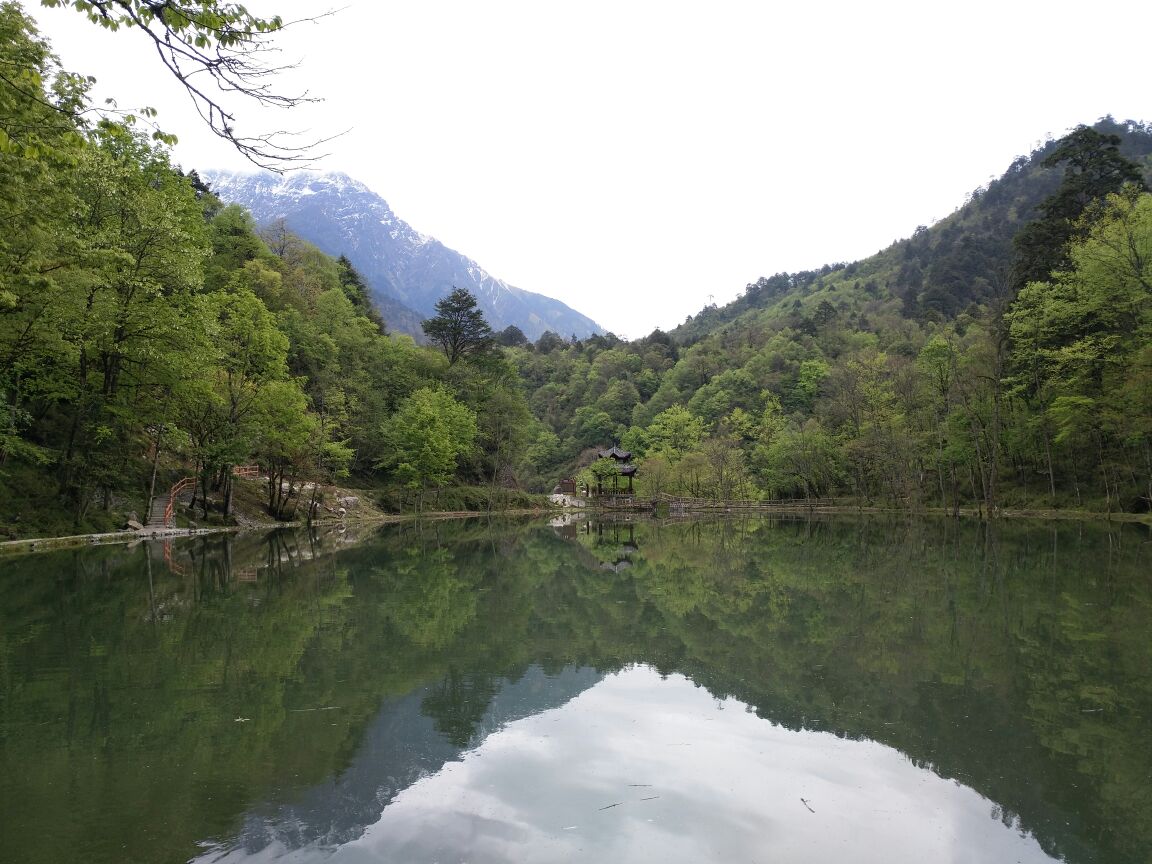 【携程攻略】天全二郎山喇叭河风景区景点,空气质量太好了景色也不错