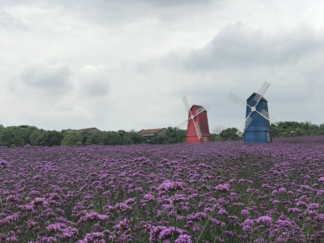 花博汇旅游景点攻略图