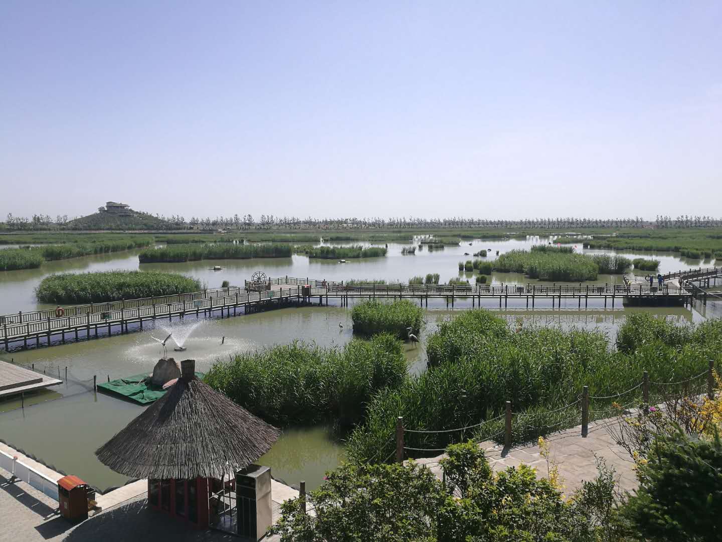 宁夏石嘴山沙湖生态旅游区 银川镇北堡西部影城 贺兰山岩画一日游