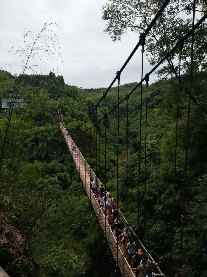 邛崃川西竹海景区好玩吗,邛崃川西竹海景区景点怎么样