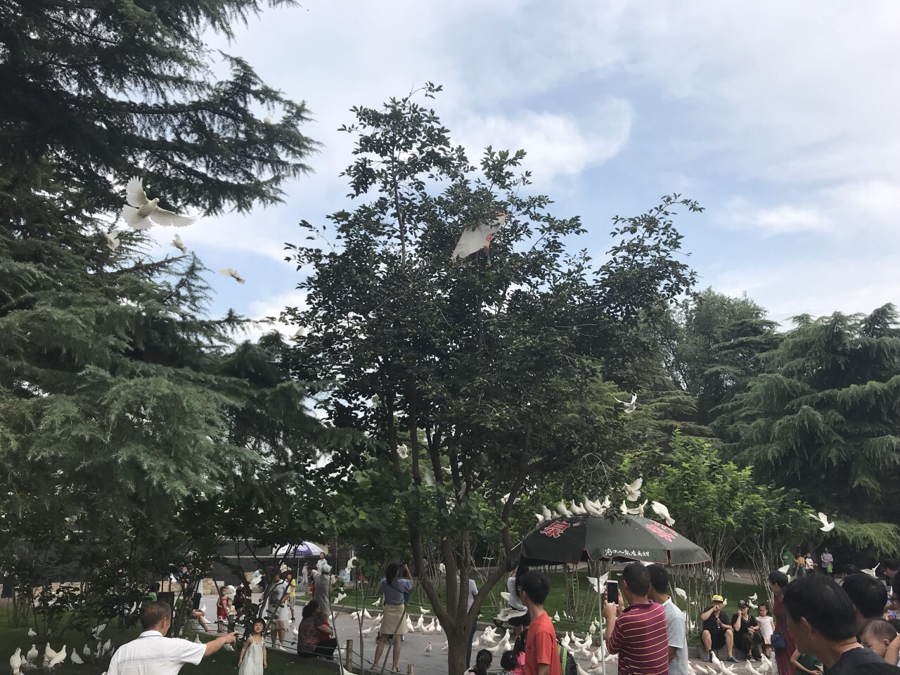 紫荆山公园旅游景点攻略图