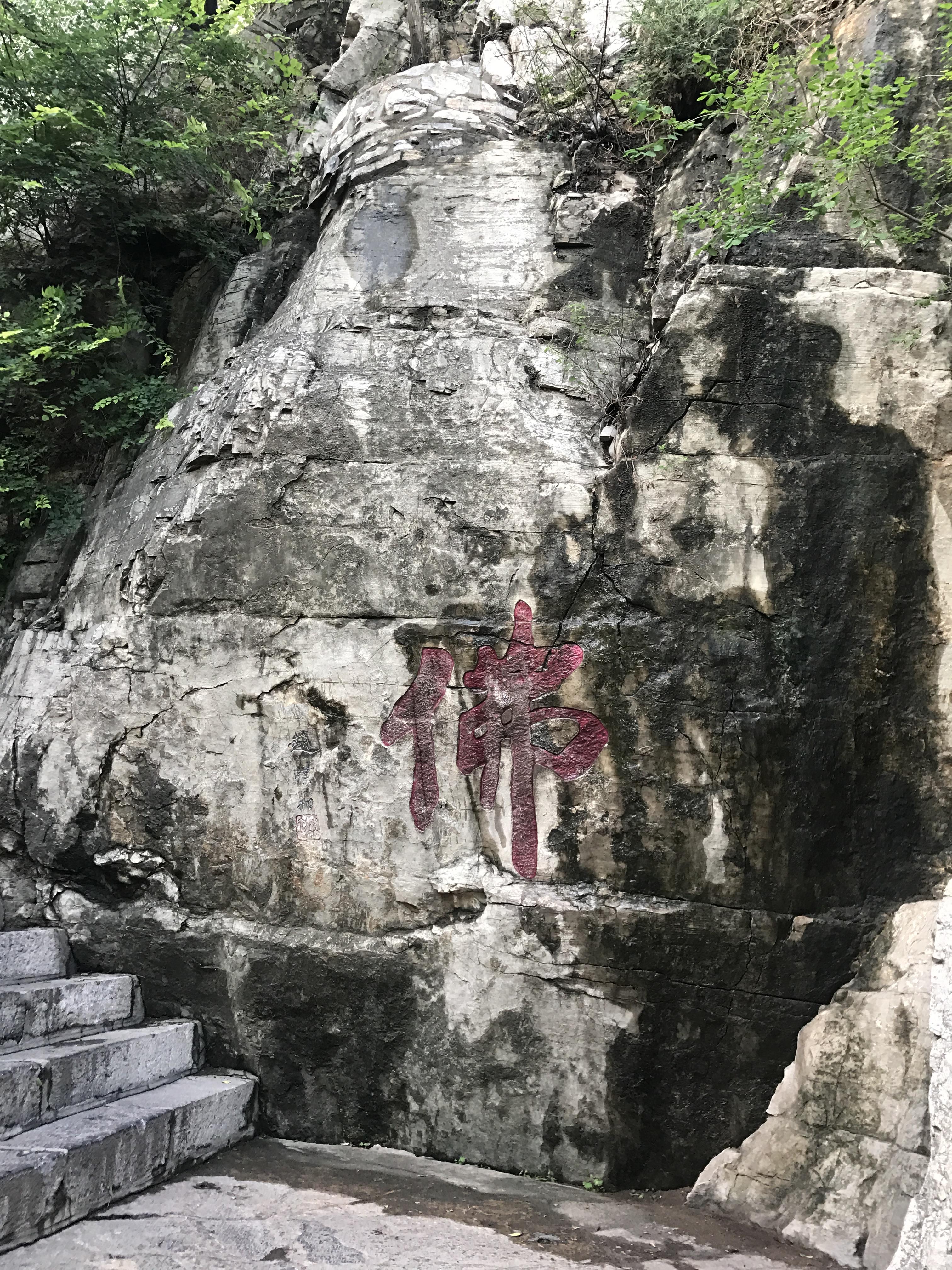 千佛山属泰山余脉,虽然山并不高,但仍然峰峦起伏,林木茂盛,更因古代的