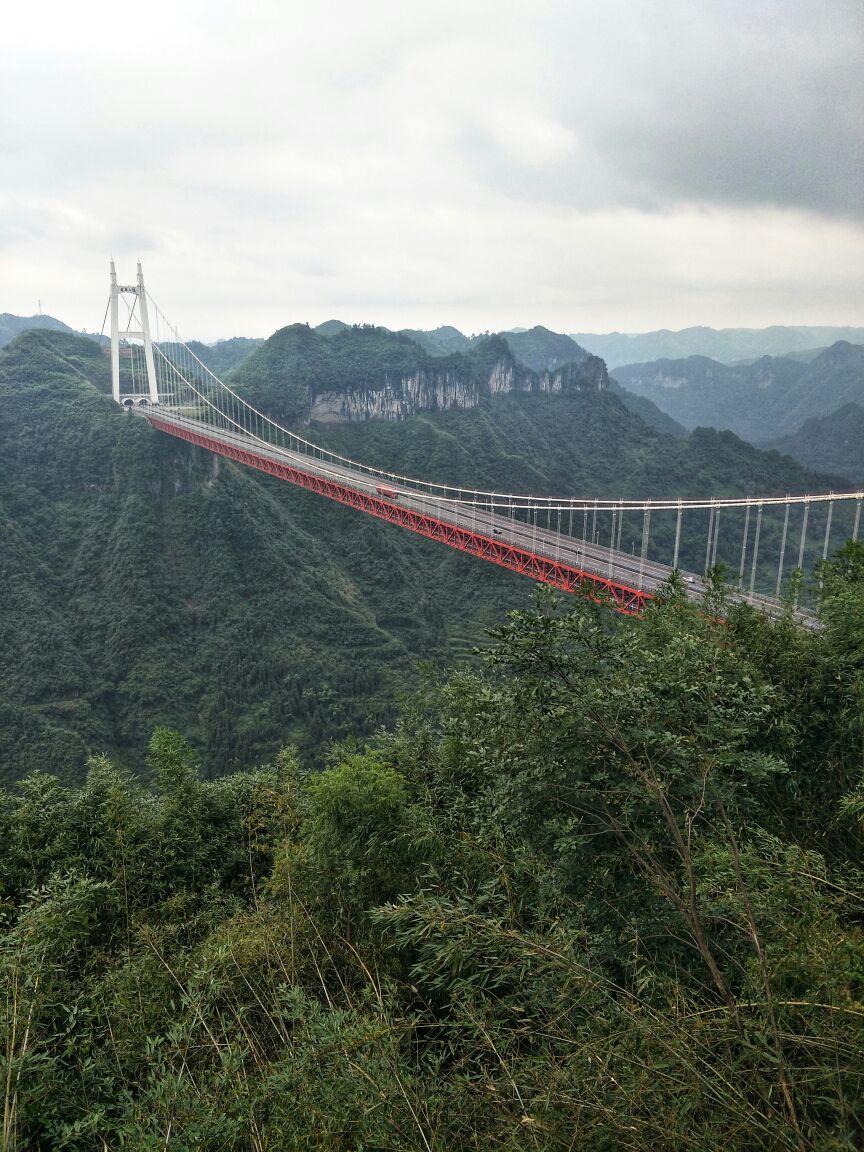 
到了矮寨大桥游客中心,和友人咨询门票,看见悬崖栈道和矮寨大桥