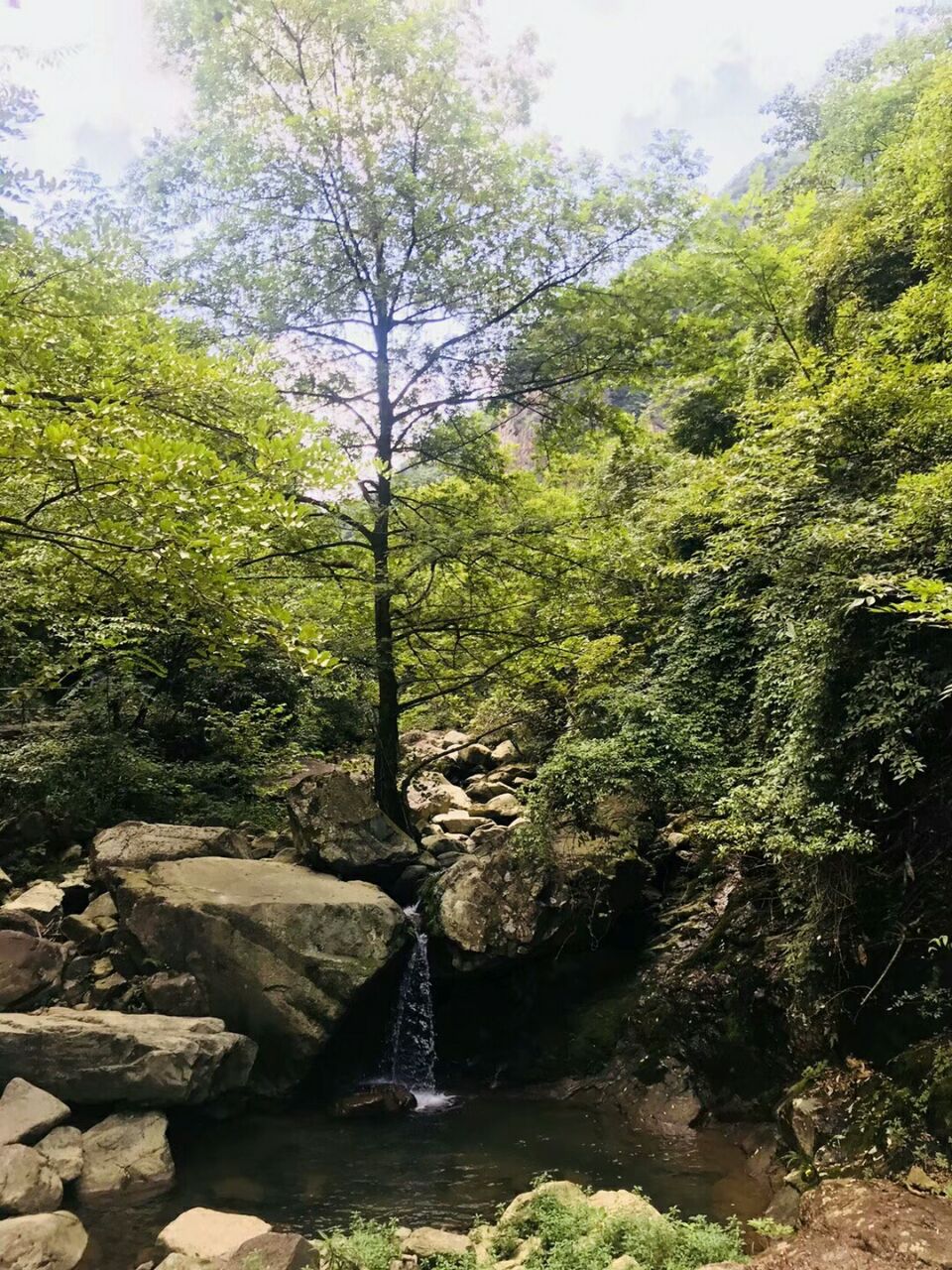 2020九龙峡景区-旅游攻略-门票-地址-问答-游记点评,安吉旅游旅游景点