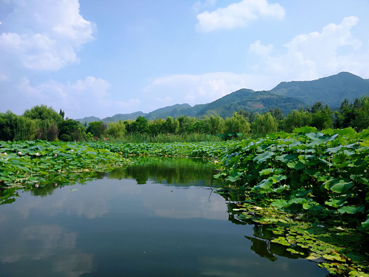 棣花古镇旅游景点攻略图