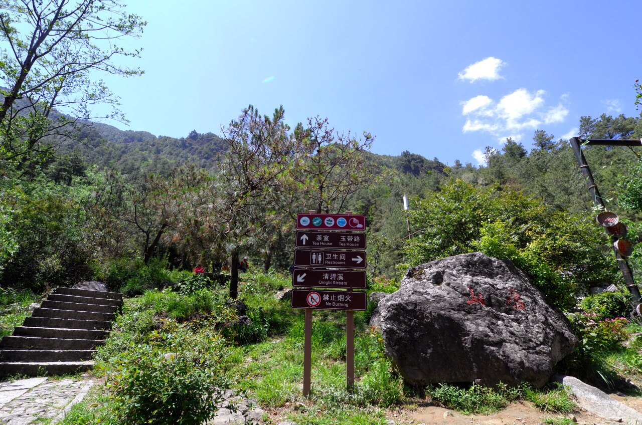 苍山旅游景点攻略图
