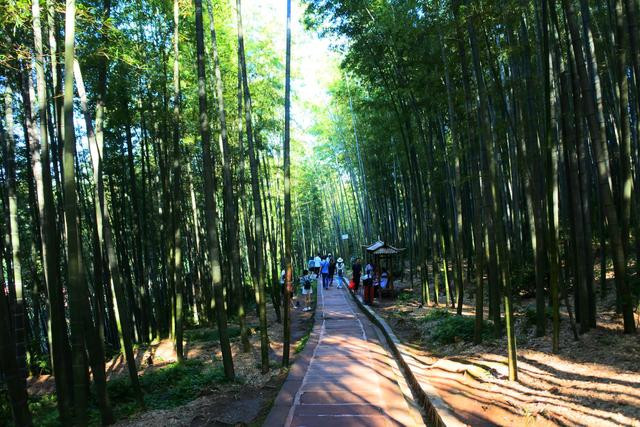寓洞景区擦耳岩陡崖之中,因自然景观和人文景观极佳被誉为"竹海明珠"