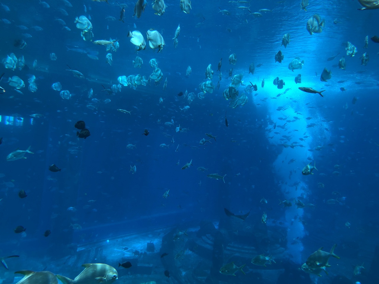 亚特兰蒂斯失落的空间水族馆