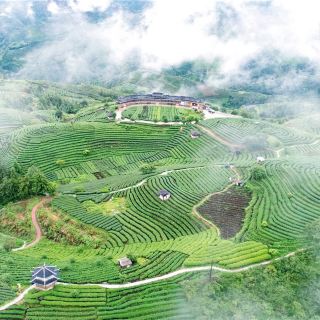 布央茶山旅游区