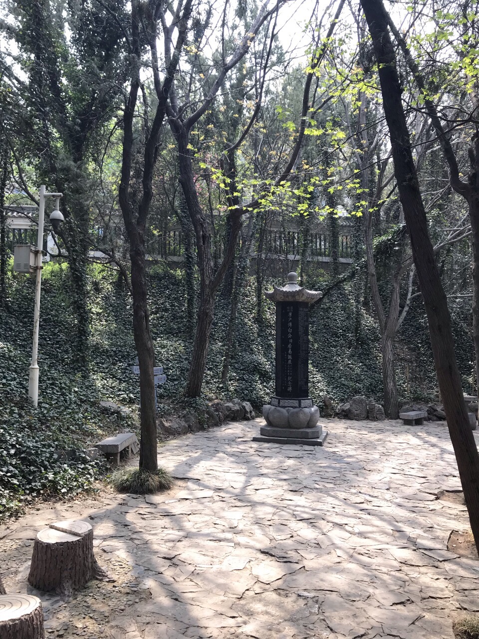 白园旅游景点攻略图