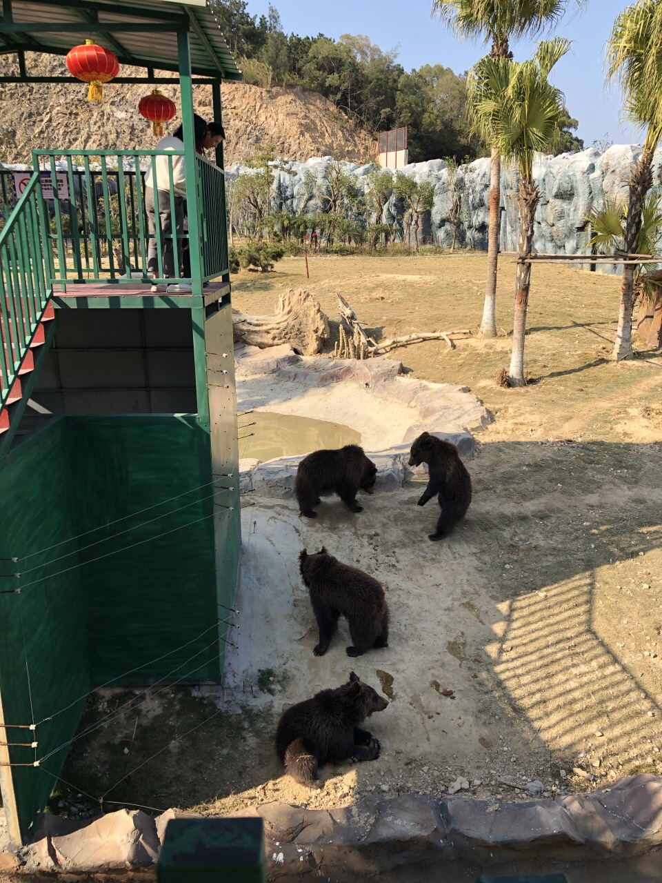 永鸿野生动物世界