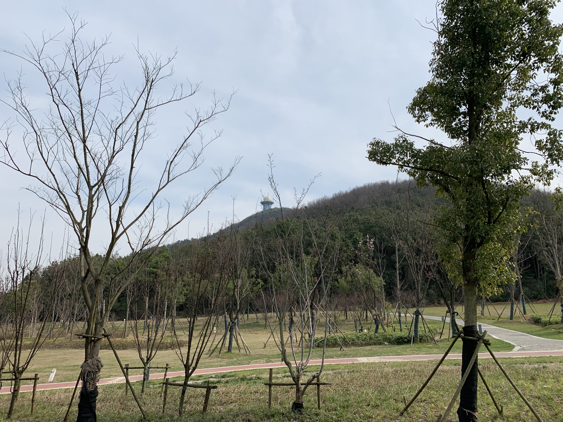 无想寺森林公园旅游景点攻略图