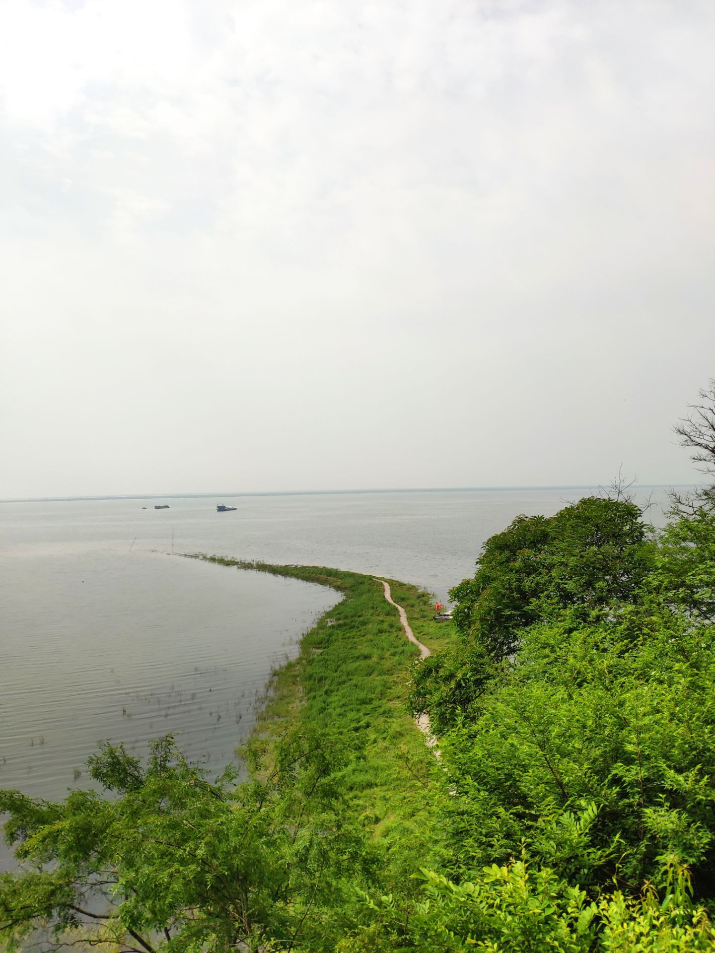 2019君山岛-旅游攻略-门票-地址-问答-游记点评,岳阳旅游旅游景点推荐