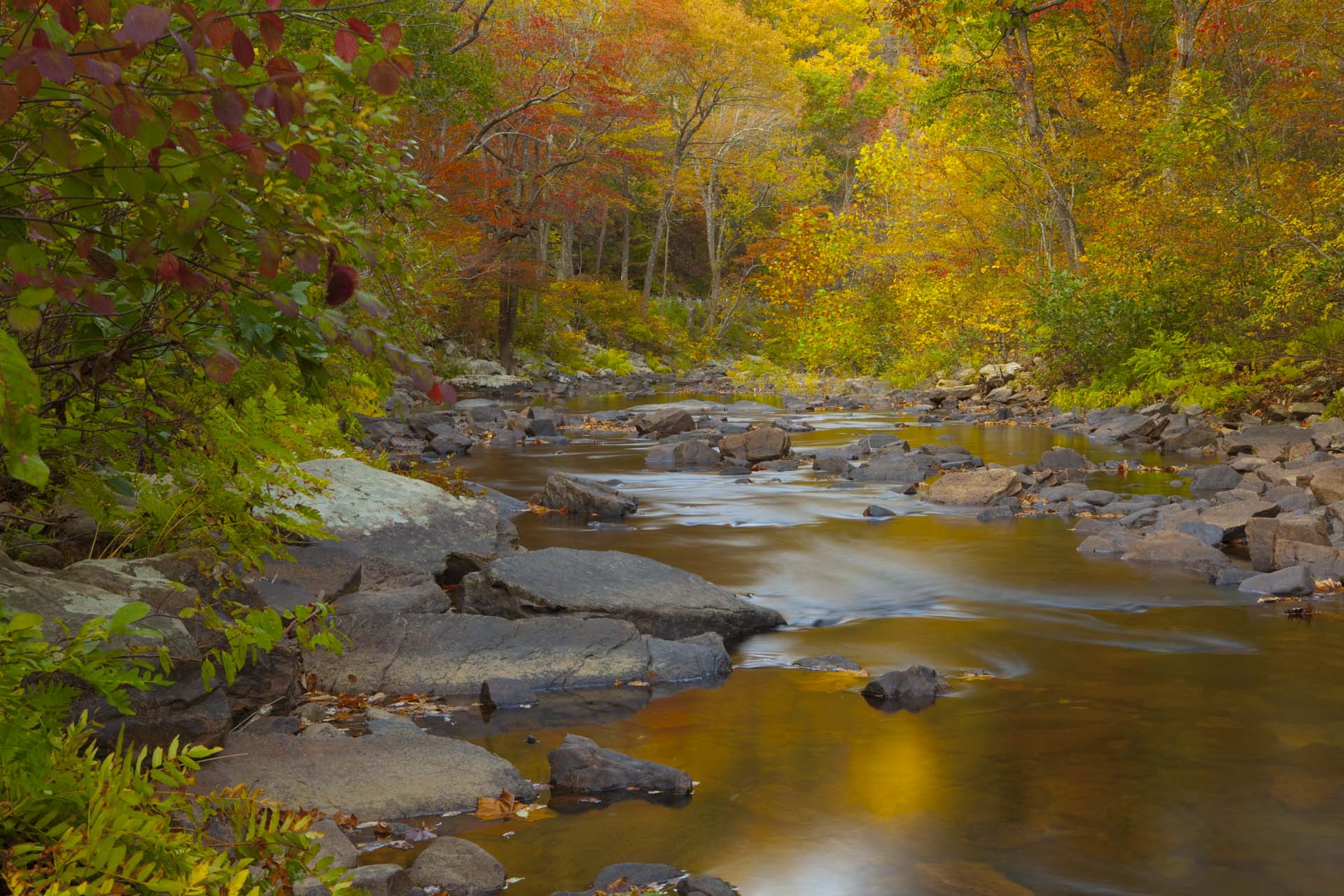 沃伦县shenandoah river state park攻略-shenandoah river state