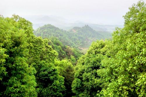 雨母山