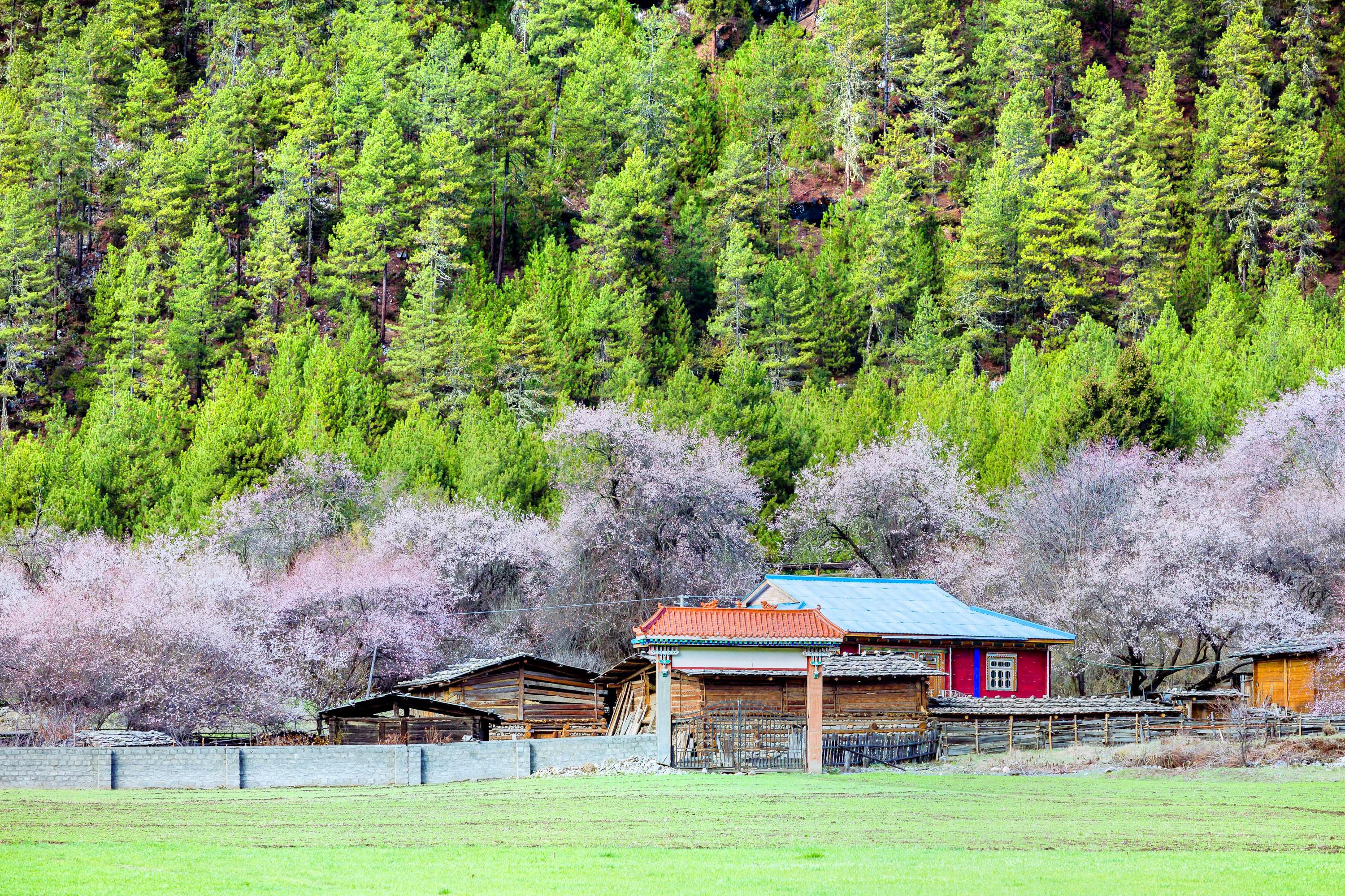 索松村